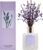 Cocorrína Premium Reed Diffuser Set with Preserved Baby’s Breath & Cotton Stick Lavender Thyme | 6.7oz Scent Fragrance Lavender Oil Diffuser for Bedroom Bathroom Home Décor